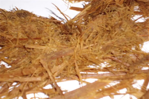 有哪些可以緩解木漿原料短缺的方法，竹漿可以代替木漿嗎？